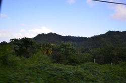 NKN_0296.JPG
