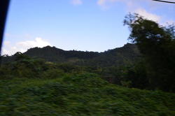 NKN_0297.JPG