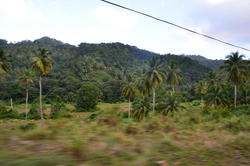 NKN_0298.JPG