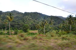 NKN_0299.JPG