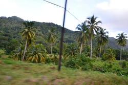 NKN_0301.JPG