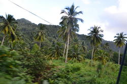 NKN_0302.JPG