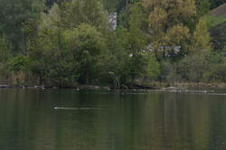 NKN_8006.JPG