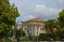 NKN_8298.JPG