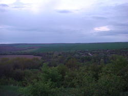 DSC02716.JPG