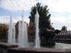 119-dsc03993.jpg.small.jpeg