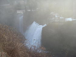 DSC03767.JPG