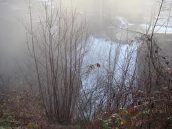DSC03771.JPG