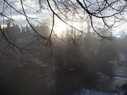 DSC03775.JPG