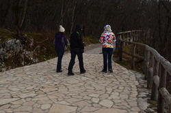 DSC_0470.JPG