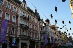 DSC_9519.JPG