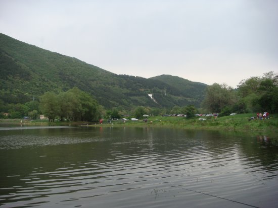 005-DSC06292.JPG.medium.jpeg