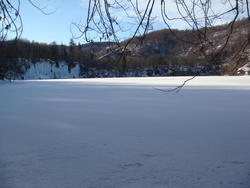 DSC01768.JPG