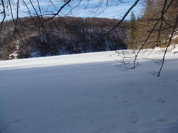 DSC01769.JPG