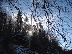 DSC01770.JPG