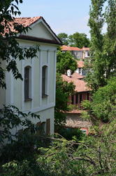 DSC_1728.JPG