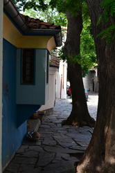 DSC_1729.JPG
