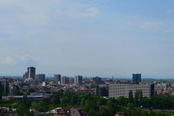 DSC_1784.JPG