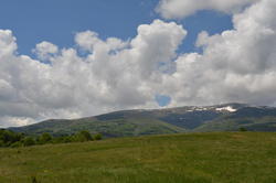 DSC_1989.JPG