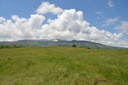 DSC_1990.JPG
