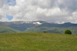 DSC_1991.JPG