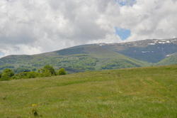 DSC_1992.JPG