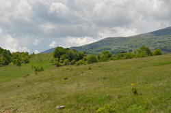 DSC_1993.JPG