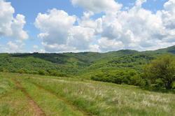 DSC_1995.JPG