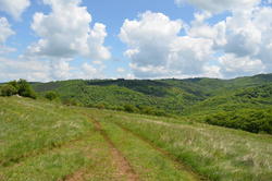DSC_1996.JPG