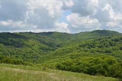 DSC_1997.JPG