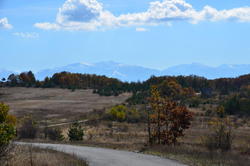 NKN_3118.JPG