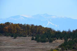 NKN_3119.JPG
