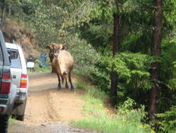 DSC00093.JPG