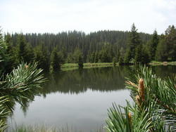 DSC00159.JPG