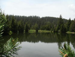 DSC00160.JPG