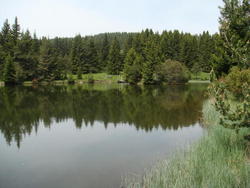 DSC00161.JPG