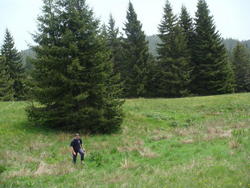 DSC00162.JPG