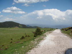 DSC00207.JPG
