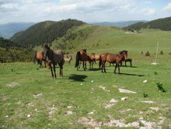 DSC00208.JPG