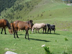 DSC00209.JPG