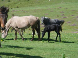 DSC00210.JPG