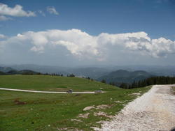 DSC00211.JPG