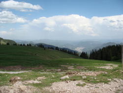 DSC00215.JPG