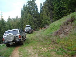 DSC00358.JPG