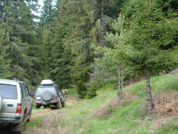 DSC00362.JPG