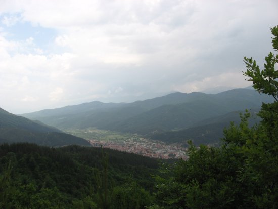 214-img_4355.jpg.medium.jpeg