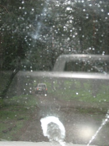 250-img_4396.jpg.medium.jpeg