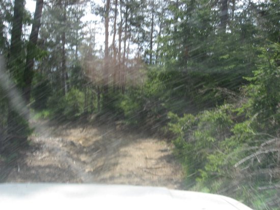 024-Off-Road 110.jpg.medium.jpeg