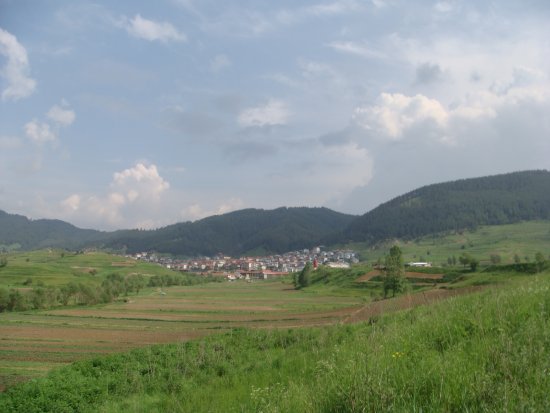 060-dsc02270.jpg.medium.jpeg