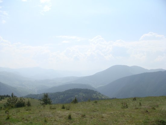 081-dsc02292.jpg.medium.jpeg
